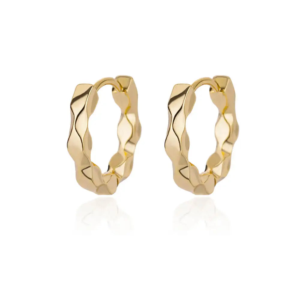 Elegant Round Earrings